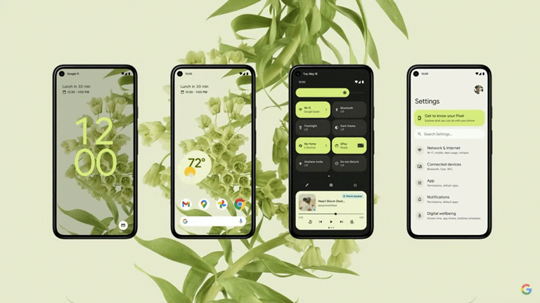 Application pour reconnaître les plantes sur Android et iPhone - Smartphone